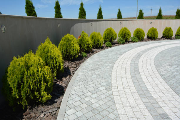 Best Custom Driveway Pavers  in Tano Road, NM